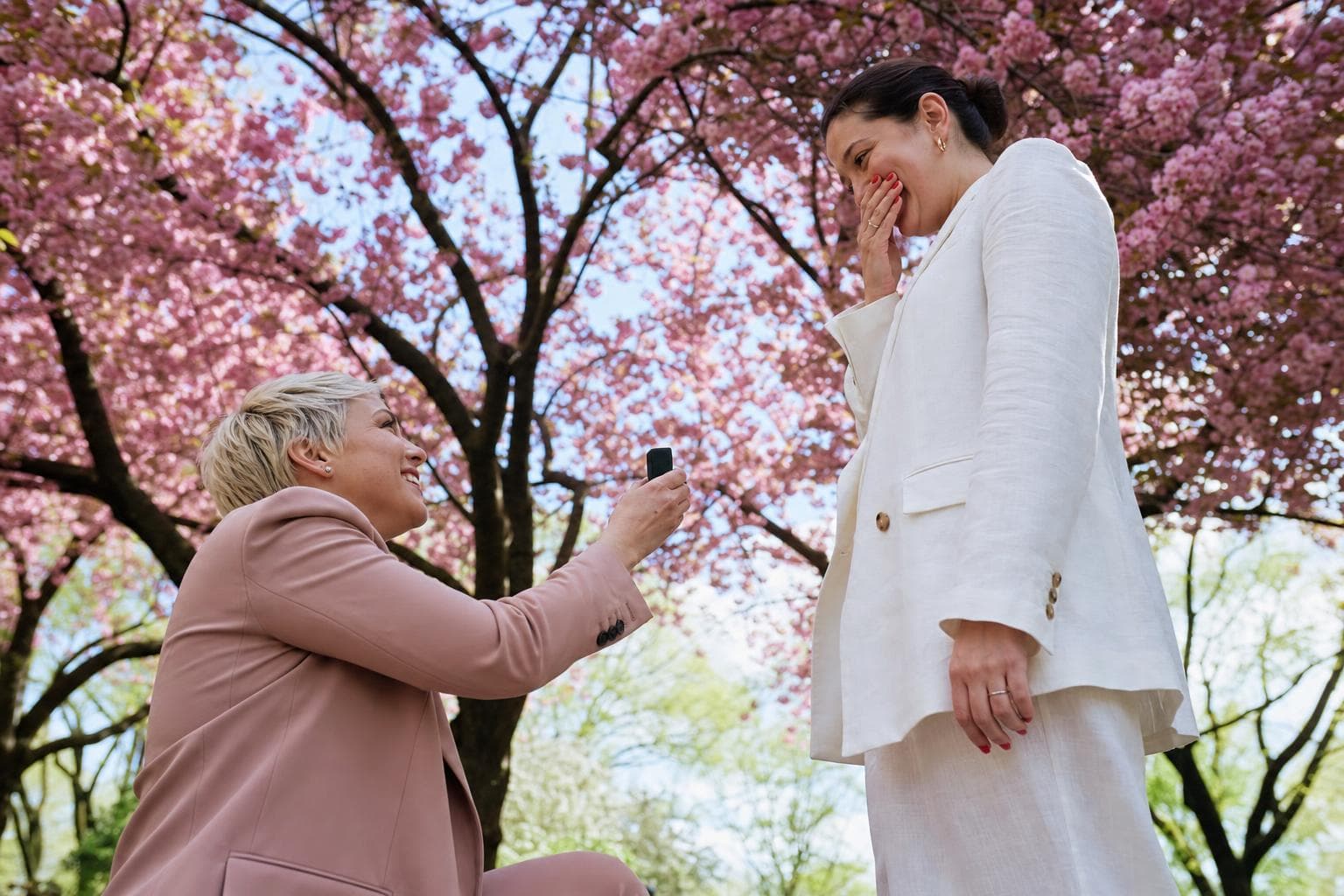 Shakespearean Garden - Adventurous proposals package in New York